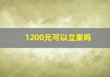 1200元可以立案吗