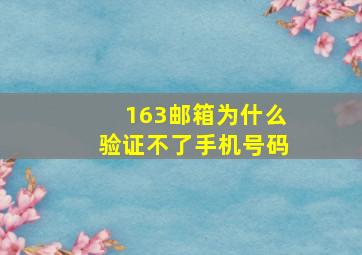 163邮箱为什么验证不了手机号码