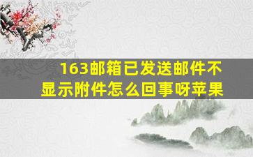 163邮箱已发送邮件不显示附件怎么回事呀苹果