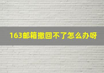 163邮箱撤回不了怎么办呀