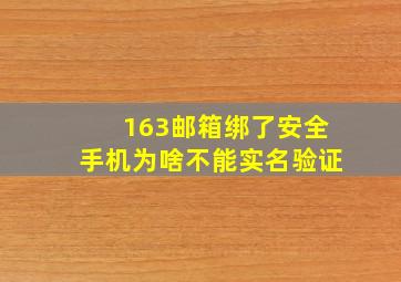 163邮箱绑了安全手机为啥不能实名验证