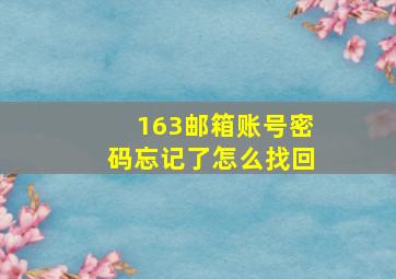 163邮箱账号密码忘记了怎么找回