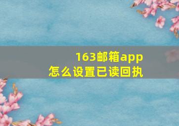 163邮箱app怎么设置已读回执