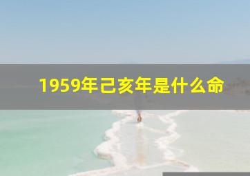 1959年己亥年是什么命