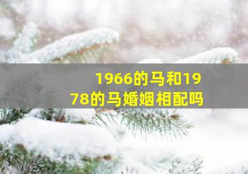 1966的马和1978的马婚姻相配吗