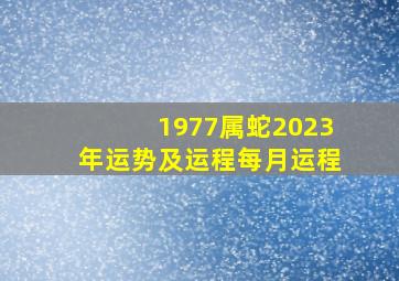 1977属蛇2023年运势及运程每月运程