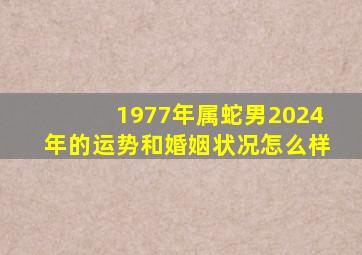 1977年属蛇男2024年的运势和婚姻状况怎么样