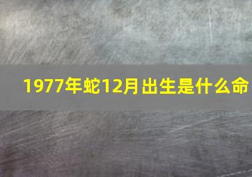 1977年蛇12月出生是什么命