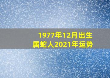 1977年12月出生属蛇人2021年运势