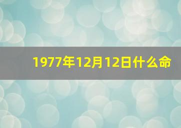 1977年12月12日什么命