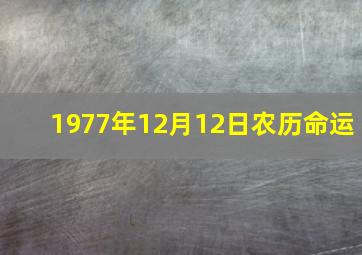 1977年12月12日农历命运