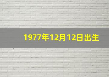 1977年12月12日出生