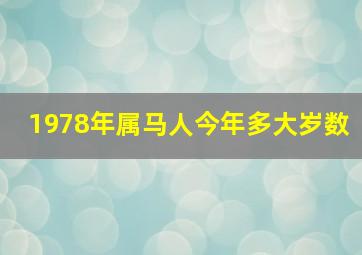 1978年属马人今年多大岁数