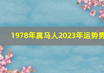 1978年属马人2023年运势男