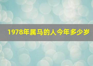 1978年属马的人今年多少岁