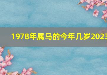 1978年属马的今年几岁2023