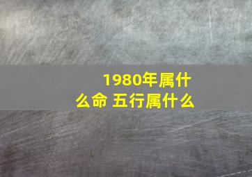 1980年属什么命 五行属什么