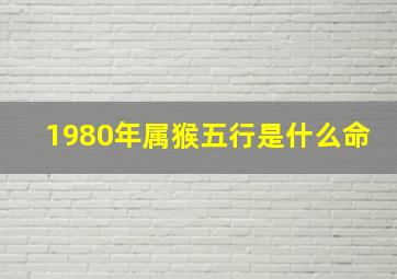 1980年属猴五行是什么命