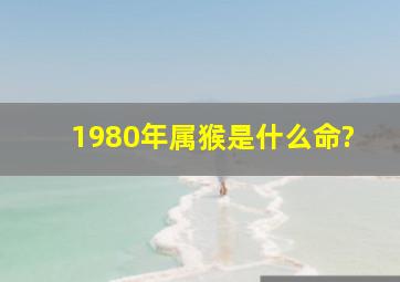 1980年属猴是什么命?