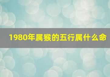 1980年属猴的五行属什么命