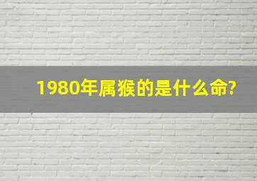 1980年属猴的是什么命?