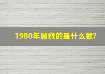 1980年属猴的是什么猴?