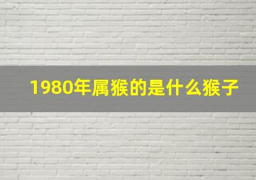 1980年属猴的是什么猴子