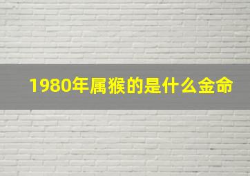 1980年属猴的是什么金命