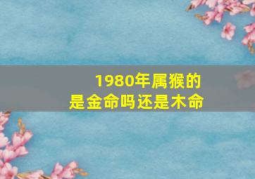 1980年属猴的是金命吗还是木命