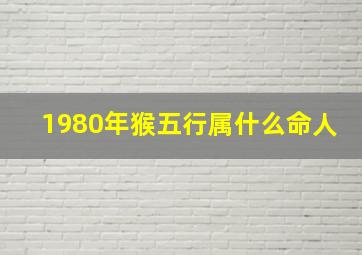 1980年猴五行属什么命人