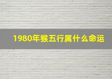 1980年猴五行属什么命运