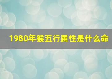 1980年猴五行属性是什么命