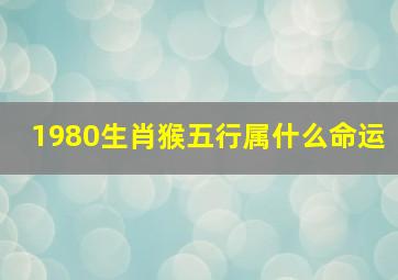 1980生肖猴五行属什么命运