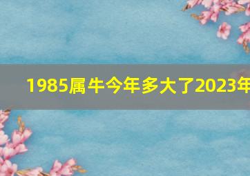 1985属牛今年多大了2023年