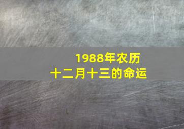 1988年农历十二月十三的命运