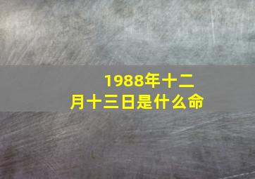 1988年十二月十三日是什么命