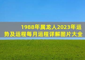 1988年属龙人2023年运势及运程每月运程详解图片大全