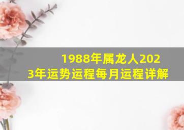 1988年属龙人2023年运势运程每月运程详解