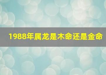 1988年属龙是木命还是金命