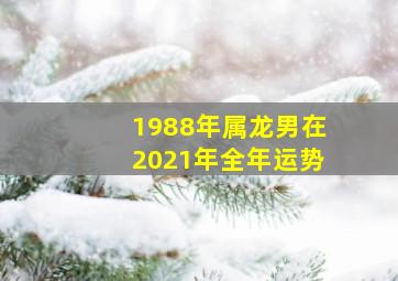 1988年属龙男在2021年全年运势