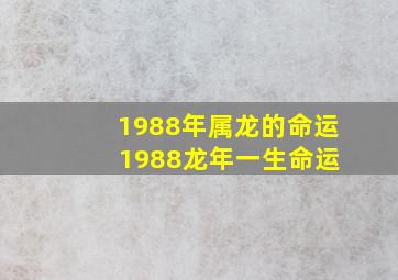 1988年属龙的命运 1988龙年一生命运