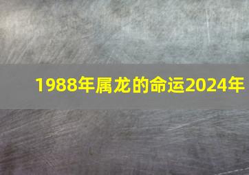 1988年属龙的命运2024年