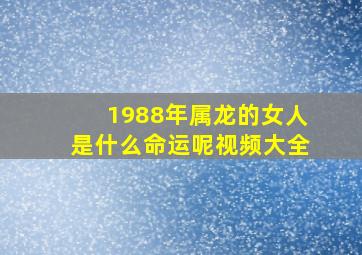 1988年属龙的女人是什么命运呢视频大全