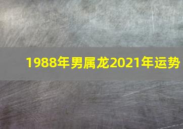 1988年男属龙2021年运势