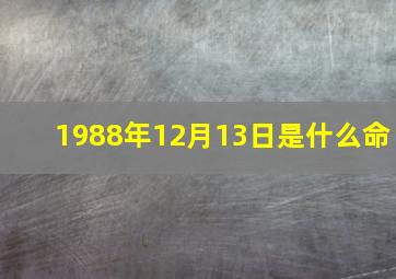 1988年12月13日是什么命