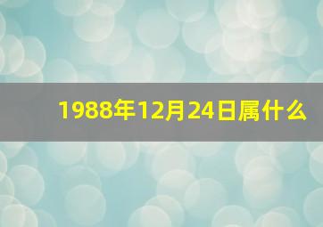 1988年12月24日属什么