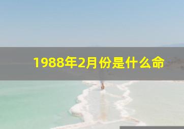 1988年2月份是什么命