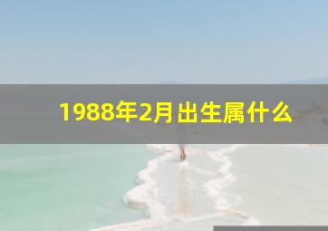 1988年2月出生属什么