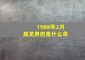 1988年2月属龙男的是什么命