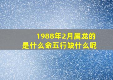 1988年2月属龙的是什么命五行缺什么呢